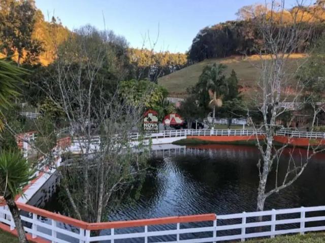 Sítio / Chácara para Venda em Santo Antônio do Pinhal/SP Rio Preto 9 Quartos