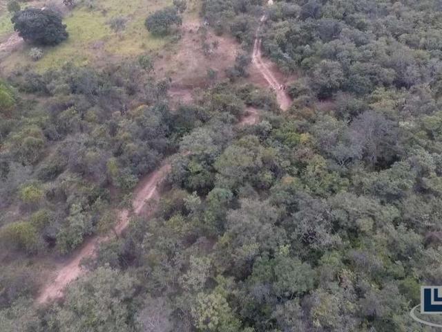 Sítio / Chácara para Venda em Santo Antônio do Retiro/MG Zona Rural