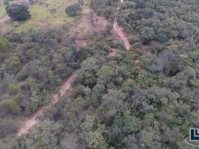 Sítio / Chácara para Venda em Santo Antônio do Retiro/MG Centro