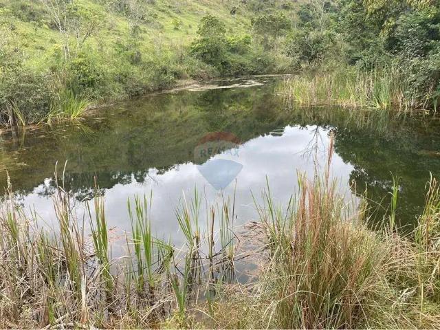 Sítio / Chácara para Venda em Santos Dumont/MG Centro