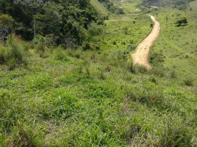 Sítio / Chácara para Venda em Santos Dumont/MG Centro