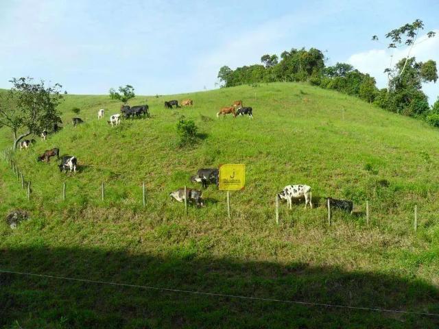 Sítio / Chácara para Venda em Santos Dumont/MG Zona Rural 2 Quartos