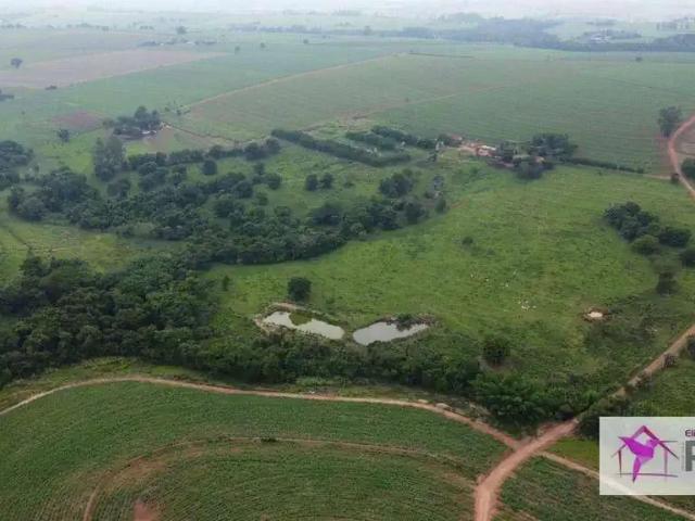 Sítio / Chácara para Venda em Santa Cruz da Conceição/SP Zona Rural 3 Quartos