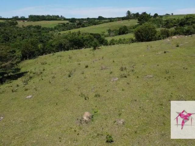 Sítio / Chácara para Venda em Santa Cruz da Conceição/SP Zona Rural 3 Quartos