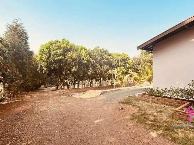 Sítio / Chácara para Venda em Santa Cruz da Conceição/SP Zona Rural