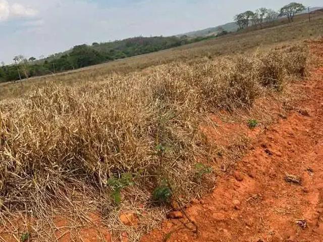 Sítio / Chácara para Venda em Santa Cruz de Goiás/GO Área Rural de Santa Cruz de Goiás