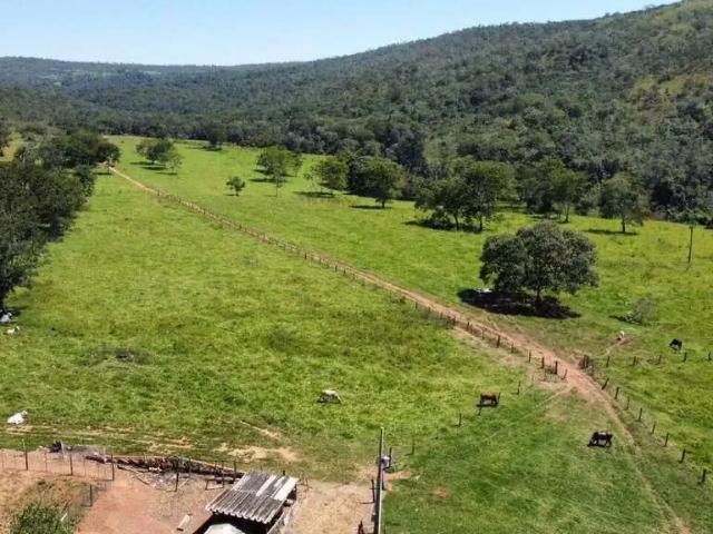 Sítio / Chácara para Venda em Santa Cruz de Goiás/GO Área Rural de Santa Cruz de Goiás