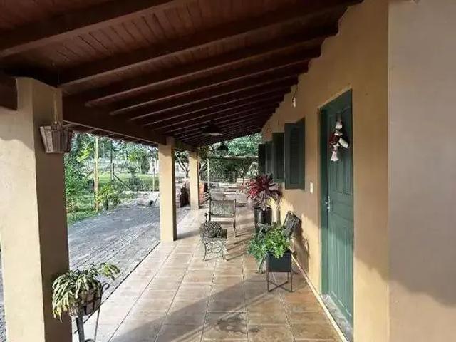Sítio / Chácara para Venda em Santa Cruz do Sul/RS Distrito Industrial