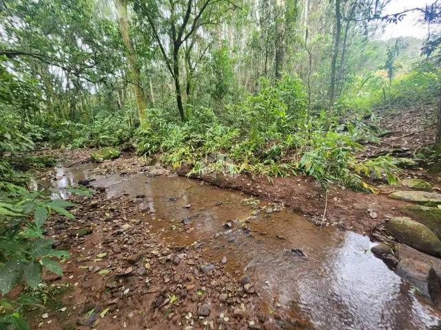 Sítio / Chácara para Venda em Santa Cruz do Sul/RS Linha Antao