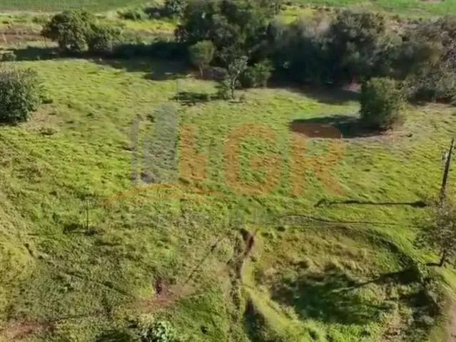 Sítio / Chácara para Venda em Santa Amélia/PR Centro