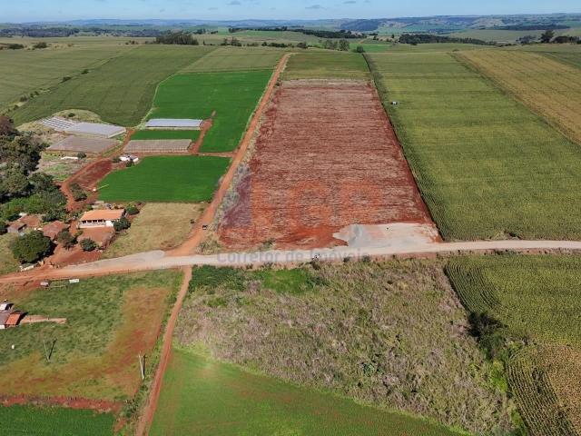 Sítio / Chácara para Venda em Santa Amélia/PR Centro