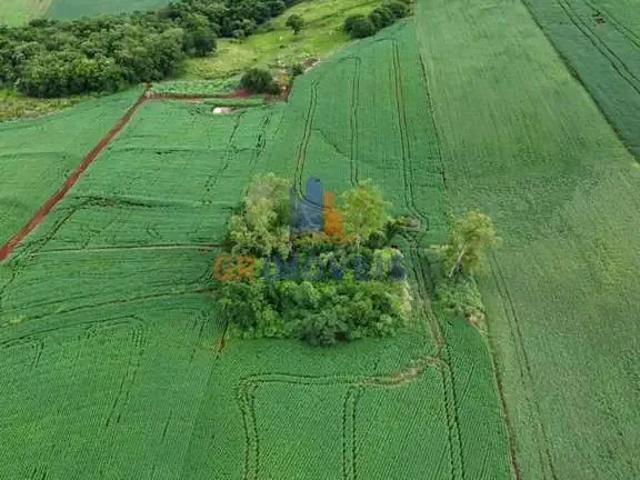 Sítio / Chácara para Venda em Santa Amélia/PR Centro