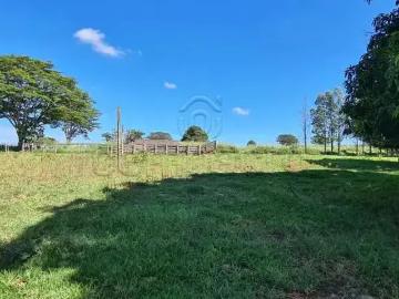Sítio / Chácara para Venda em Santa Albertina/SP Centro 4 Quartos