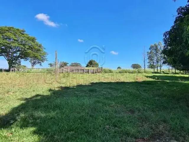 Sítio / Chácara para Venda em Santa Albertina/SP Centro 4 Quartos
