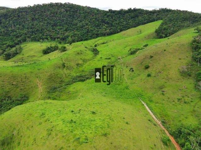 Sítio / Chácara para Venda em Santa Bárbara do Monte Verde/MG Centro