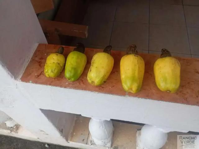 Sítio / Chácara para Venda em Santa Branca/SP Centro 5 Quartos