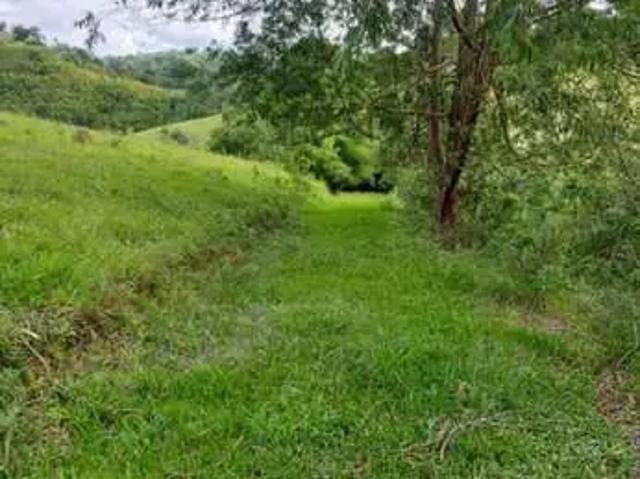 Sítio / Chácara para Venda em Santa Branca/SP Centro