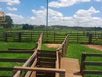 Sítio / Chácara para Venda em Santa Fé do Sul/SP Centro 1 Quartos
