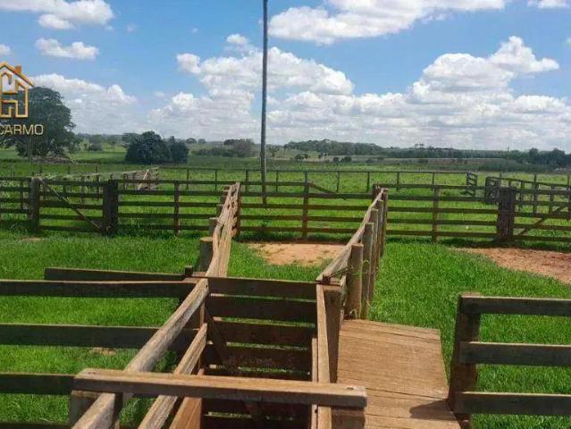 Sítio / Chácara para Venda em Santa Fé do Sul/SP Centro 1 Quartos