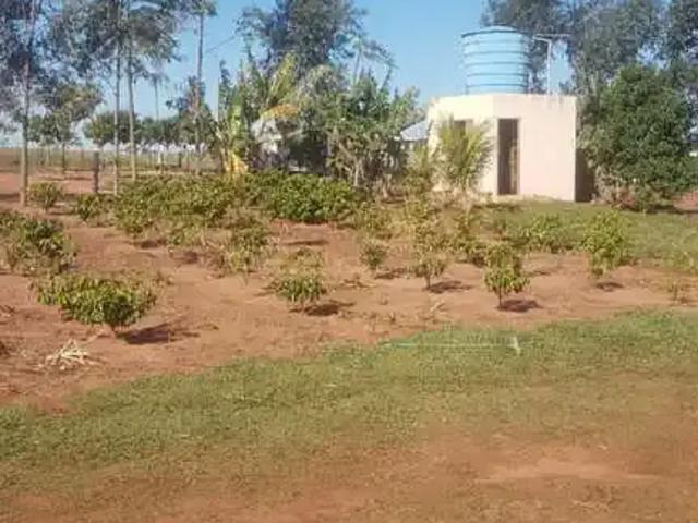 Sítio / Chácara para Venda em Santa Fé/PR Centro 3 Quartos