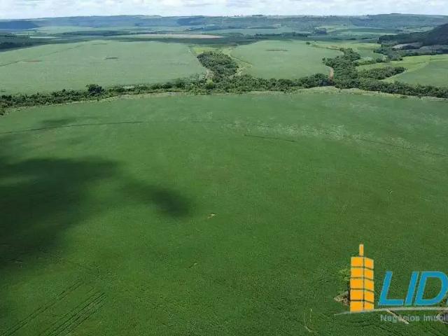 Sítio / Chácara para Venda em Santa Helena de Goiás/GO Zona Rural