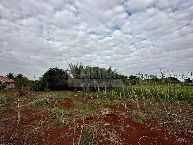 Sítio / Chácara para Venda em Santa Helena/PR Zona Rural
