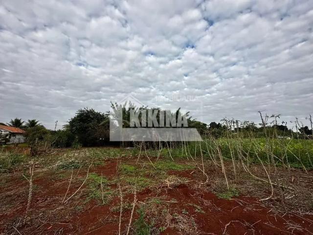 Sítio / Chácara para Venda em Santa Helena/PR Zona Rural
