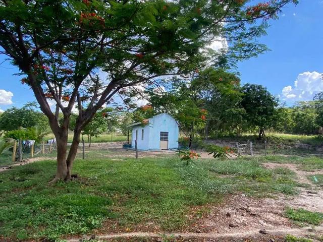 Sítio / Chácara para Venda em Santa Isabel/GO Zona Rural 3 Quartos