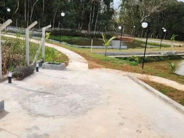 Sítio / Chácara para Venda em Santa Isabel/SP Pouso Alegre 3 Quartos