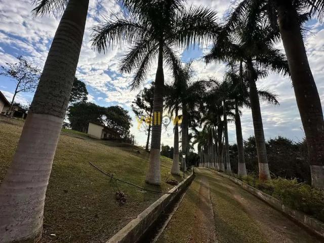 Sítio / Chácara para Venda em Santa Isabel/SP Varadouro 13 Quartos