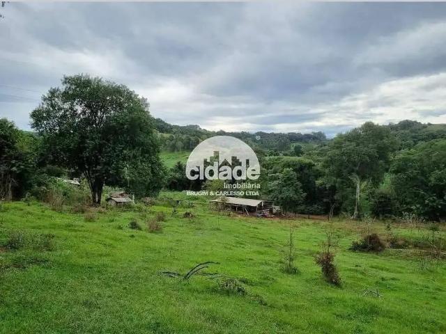 Sítio / Chácara para Venda em Santa Lúcia/PR Zona Rural 2 Quartos