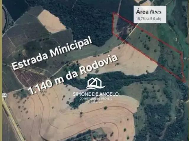 Sítio / Chácara para Venda em Santa Maria da Serra/SP Zona Rural