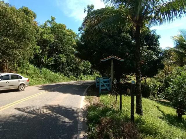 Sítio / Chácara para Venda em Santa Maria Madalena/RJ Zona Rural
