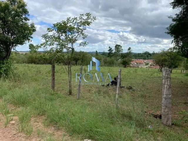Sítio / Chácara para Venda em Santa Maria/RS Tomazetti