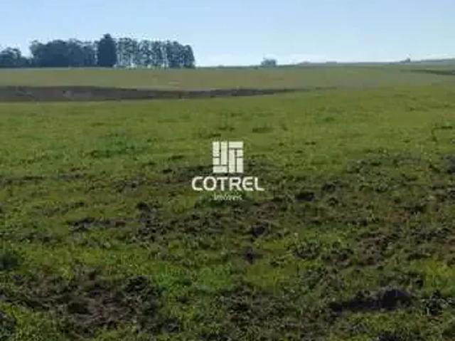 Sítio / Chácara para Venda em Santa Maria/RS Zona Rural