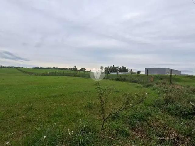 Sítio / Chácara para Venda em Santa Maria/RS Zona Rural