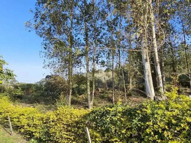 Sítio / Chácara para Venda em Santa Maria/RS Arroio Grande 1 Quartos
