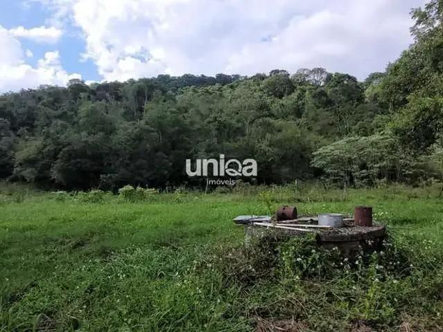 Sítio / Chácara para Venda em Santa Maria/RS Arroio Grande 3 Quartos
