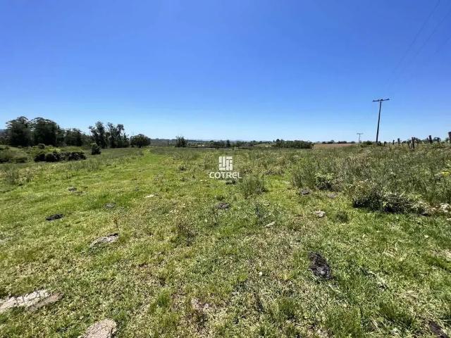 Sítio / Chácara para Venda em Santa Maria/RS Arroio do Só