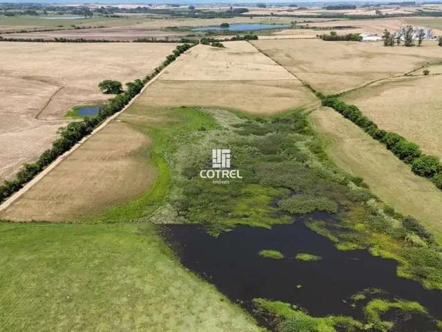 Sítio / Chácara para Venda em Santa Maria/RS Arroio do Só