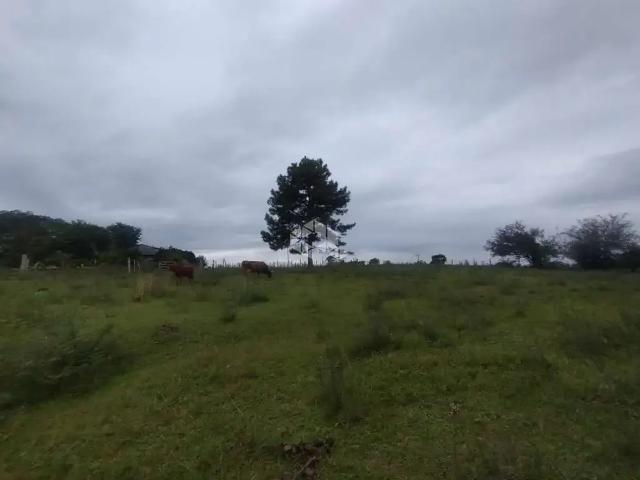 Sítio / Chácara para Venda em Santa Maria/RS Arroio do Só