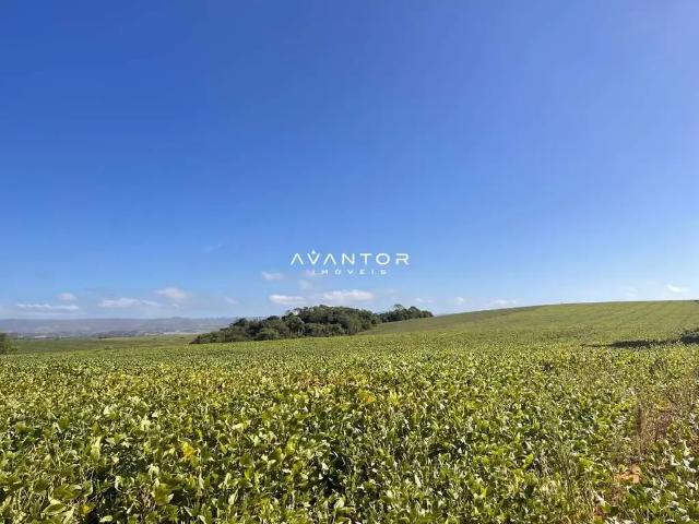 Sítio / Chácara para Venda em Santa Maria/RS Boca do Monte