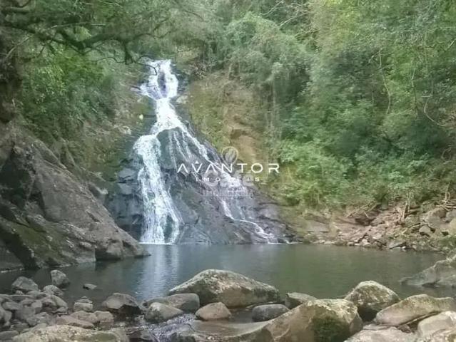 Sítio / Chácara para Venda em Santa Maria/RS Camobi 1 Quartos