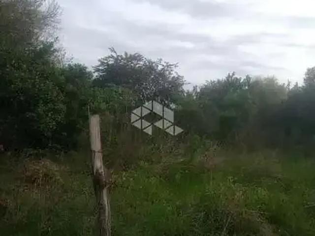 Sítio / Chácara para Venda em Santa Maria/RS Passo das Tropas