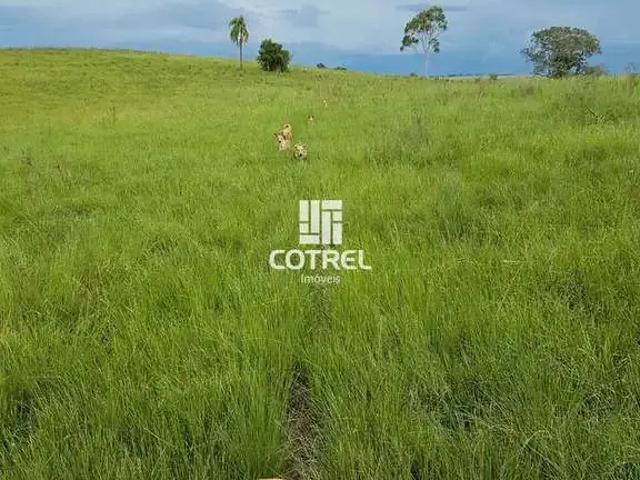 Sítio / Chácara para Venda em Santa Maria/RS Passo das Tropas
