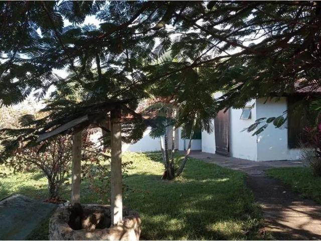 Sítio / Chácara para Venda em Santa Rosa de Viterbo/SP Centro 3 Quartos