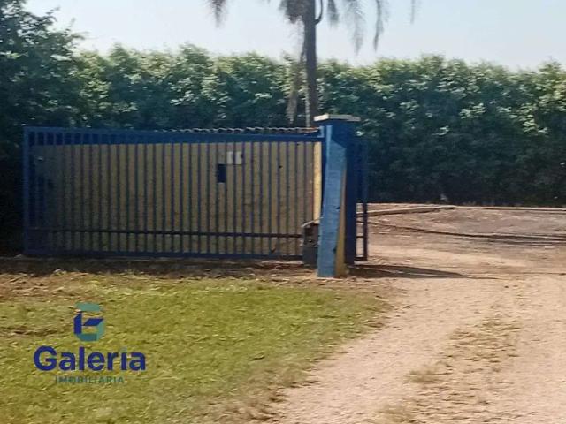 Sítio / Chácara para Venda em Santa Rosa de Viterbo/SP Centro 4 Quartos