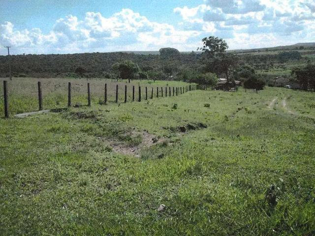 Sítio / Chácara para Venda em Santa Rosa de Viterbo/SP Zona Rural 1 Quartos