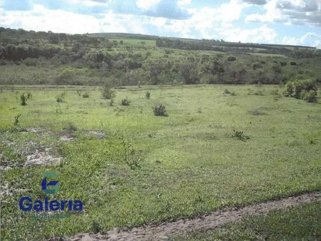 Sítio / Chácara para Venda em Santa Rosa de Viterbo/SP Zona Rural 1 Quartos