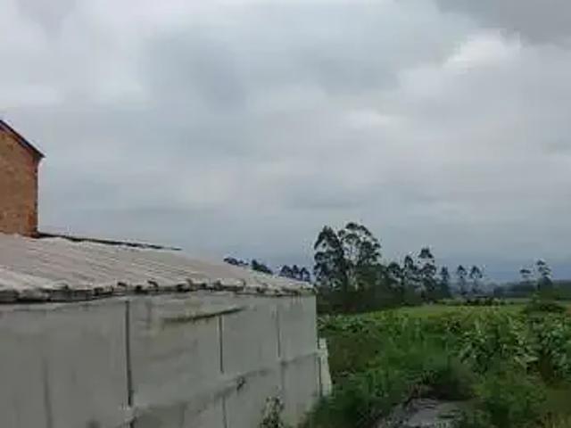 Sítio / Chácara para Venda em Santa Rosa do Sul/SC Centro 3 Quartos